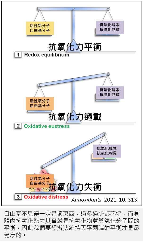 身體如何保護自己抵抗自由基的氧化傷害？