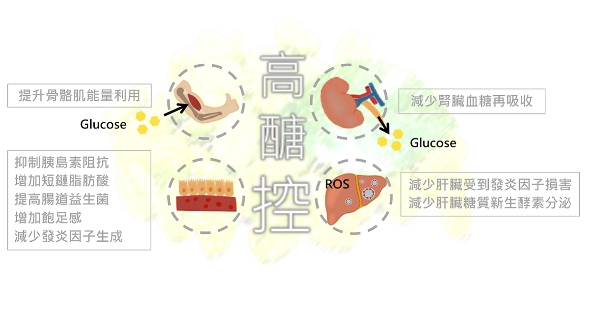 拜寧複合專利配方-高醣控