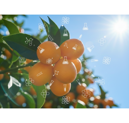 開創金柑農業升級新契機：拜寧騰能生技「金柑酵解物」深度解析與技術優勢