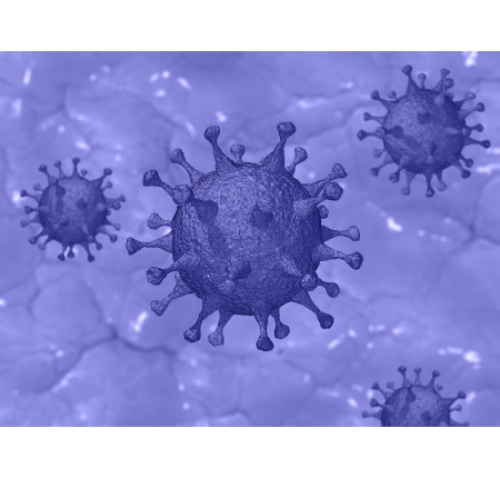 新型冠狀病毒COVID-19介紹